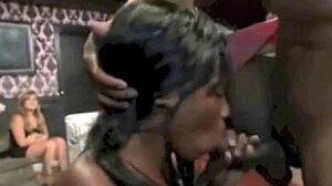 classic beats to bang to, pure retro masterpiece