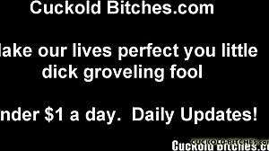 Watch Him Fill Wife with Cum in Cuckold POV