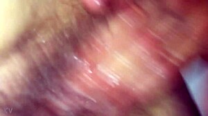 i'm the step mom letting my son play with my fat oiled pussy