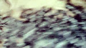 gulosa sucks novinho dotadao, follow wanessa silva1422 on instagram