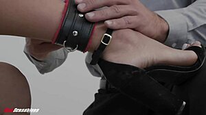 autumn falls bound and used hard