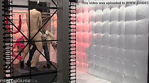 Exotic blonde Ash Hollywood feels intense pleasure as clothes rip during cowgirl riding