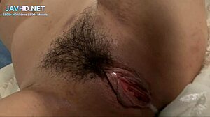 Sexy japanese legs in stockings vol 2