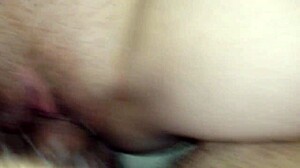 I am fucking this milf pussy so good, blowjob included