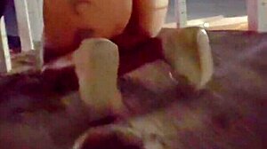 I watch this couple fuck passionately on the public bridge