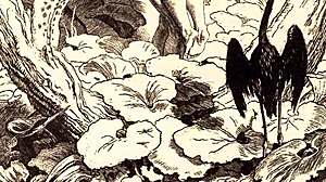 Erotic illustrations from the good old days