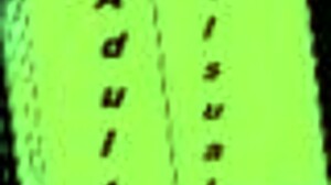 Visual novel walkthrough for Harem Hotel on PC