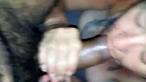 Wife Sucking Big Monster Cock