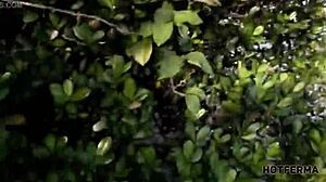 Blonde milf with big ass banging on the beach