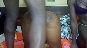 Amateur Emelia cries while taking black cock in her asshole.