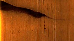 Vintage drawings depict retro anime and antique cartoon styles