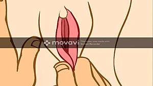 Katie’s Diary 1-8 Unveils Wild Animated Adventures