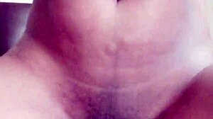 Rextipy Shoving Dick In Melina's Pussy