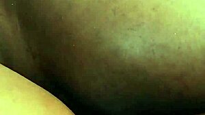 Rextipy’s big cock into Melina’s small pussy