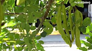 farmer twink gets dirty on the ranch. watch him jerk and suck cock with wild passion!