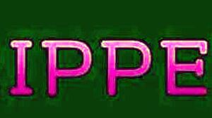 Newbie Agent Skyler Storm Swallows Cock To Seal The Deal