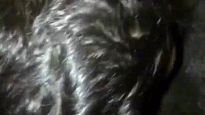 sucking a follower's big cock in diary