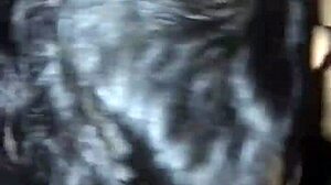 sucking a follower's big cock in diary