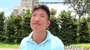 Blindfolded stud tricked into gay oral action