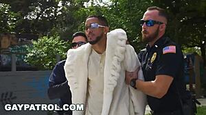 Gay Patrol Busts Pimp's Ebony Hoes