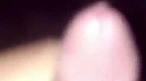 Dogging Adventures With Amateurs In Doggystyle Positions