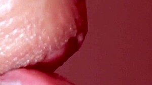 little latina slut sucks and gets cum in mouth fast!
