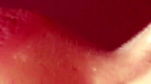 little latina slut sucks and gets cum in mouth fast!