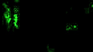 Vintage Erotic Illustration with Retro Cartoon Style