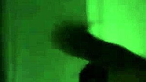 Todos Os Vídeos Do Natpedro Collection