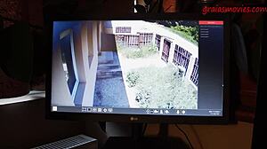 Didn’t expect this wild punishment for innocent intruder in parody.