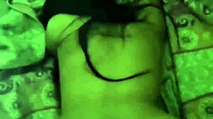 Todos Os Vídeos Do Natpedro Collection