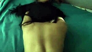 Todos Os Vídeos Do Natpedro Collection