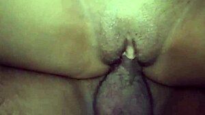 I licked my half-sister, then she rode my big cock