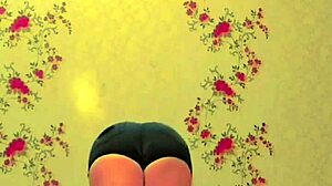 Sissy Shemale Crossdresser Teases.