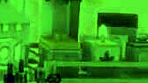 The sims 4 pussy of the tigress