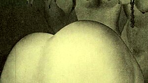 vintage erotic drawings