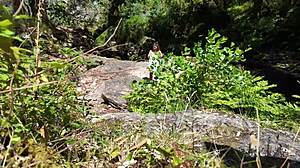 voyeur stranger bangs girl on nudist beach. she’s totally shocked by outdoor action.