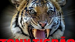 Did you see sophie stephan in red lingerie, big tits bouncing?