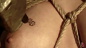 Hunting fresh 18 yo slave meat Zyna in city