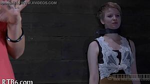 free bdsm sex movies collection