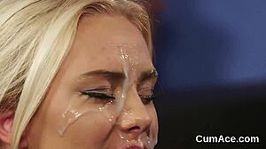 Hot looker boldly sucks cock and gets facial cumshot