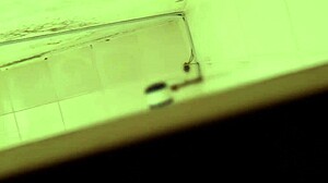 Hidden Camera Captures Nurse at Institute Monterrey in Bathroom Scene