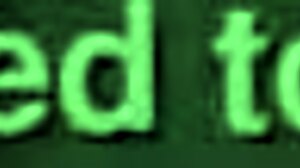 Anal sex with a hot Putinha on a black horse