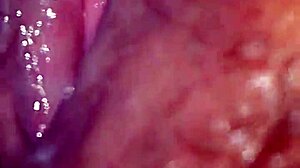 intense blowjob leaves wife soaking wet