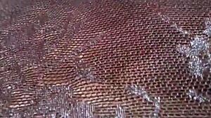 Gretala flashes her pregnant body in transparent thong