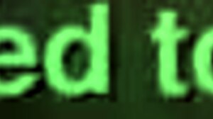 Anal sex with a hot Putinha on a black horse