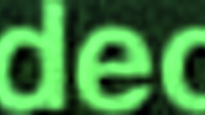 Anal sex with a hot Putinha on a black horse