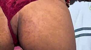 The eyes of the moray eels are very intense and that is quite interesting