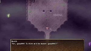 wraith boss in new game on lunatic difficulty in sorcery kingdom by anmitsuya