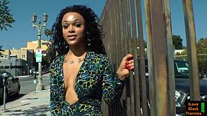 Gorgeous Solo Ebony Tranny Masturbates Pierced Dick